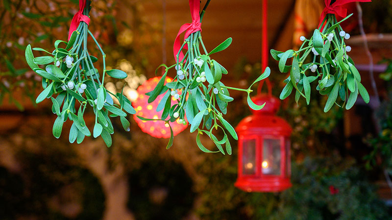 Julemarkeds-, jul- og nytt�rscruise