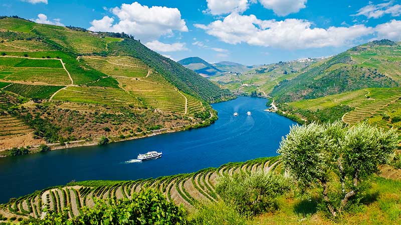 Elvecruise p� Douro