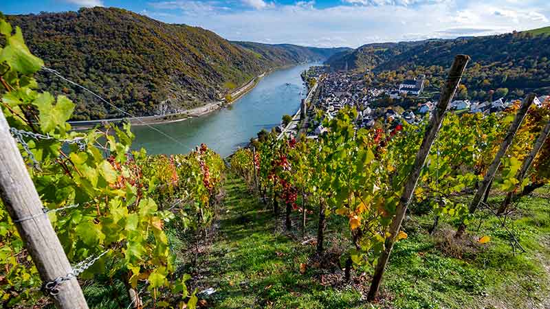 Tre land langs Rhinen � fra Basel til D�sseldorf