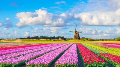 Reisetips: Blomstercruise