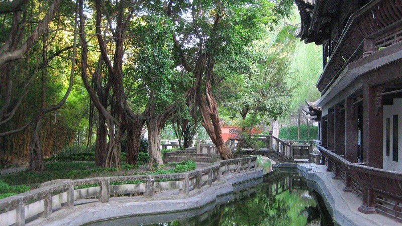 vann, tr�r og bygning