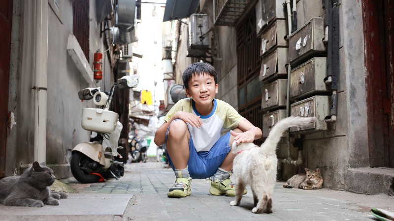 gutt, katt, moped i hutong omr�det 