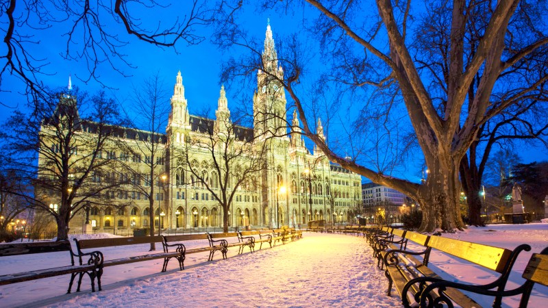 Rådhuset i Wien Snødekket park foran Rådhuset i Wien